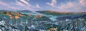 10年世界杯的比利亚-比利亚，2010年世界杯的锋线杀手