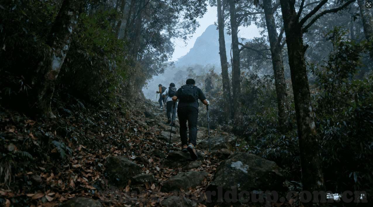 世界杯期间彩票网站-世界杯期间彩票网站，一场激情与博弈的盛宴