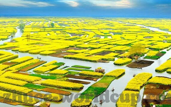 足球即使比分网-足球即时比分网，绿茵场外的数字心跳